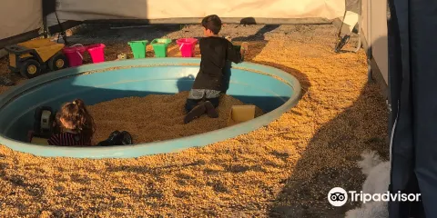 Sahl's Father Son Farm