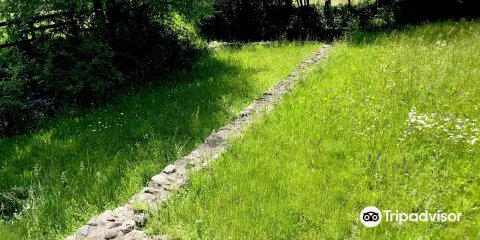 Scavi Della Stazione Romana di Sebatum