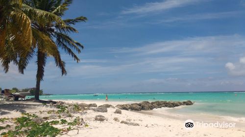 Carib Beach Bar