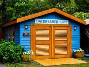 Daydreamer Wines