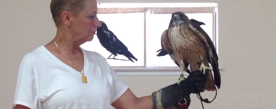 Suisun Wildlife Center