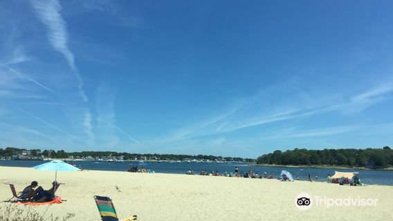 Shell Point Beach