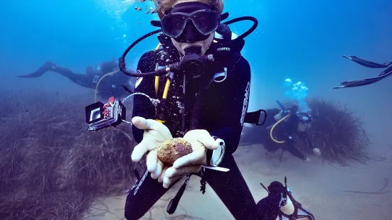 Ametlla Diving