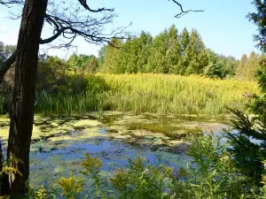 Nawautin Nature Sanctuary