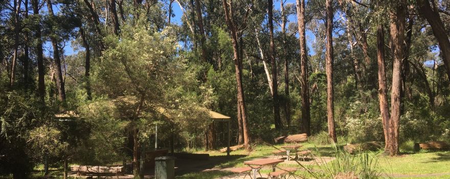 Wicks Reserve