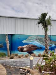 The Institute for Marine Mammal Studies