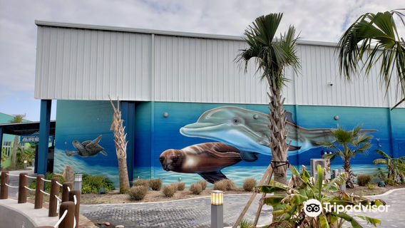 Institute For Marine Mammal Studies