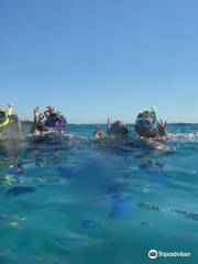 Argonauta Diving Sardinia