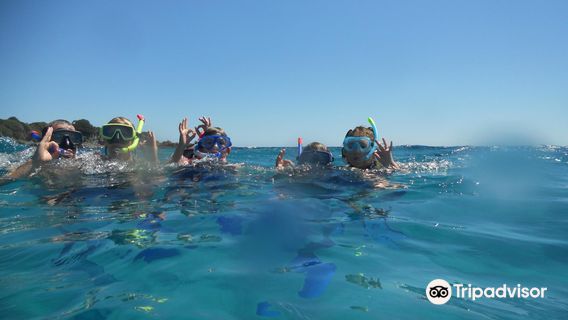 Argonauta Diving Sardinia