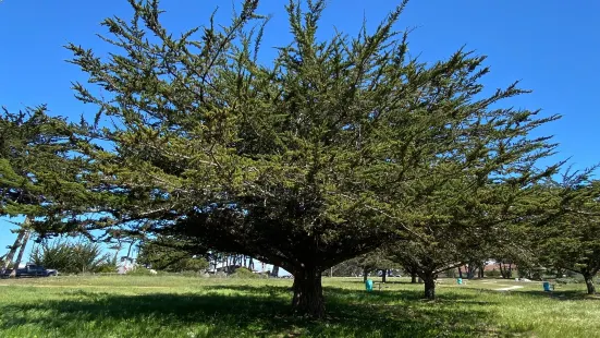 Locke-Paddon Wetlands Park