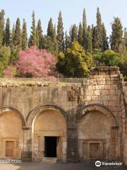 Ancient Israel Music - Voices of Eden