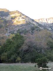 Arroyo Hondo Preserve