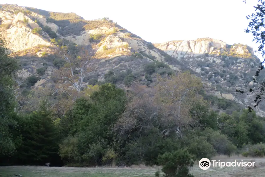 Arroyo Hondo Preserve