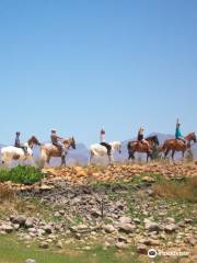 Tulbagh Horse Trails