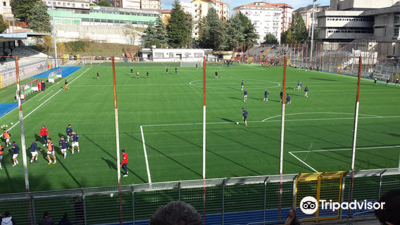 Stadio Alfredo Viviani