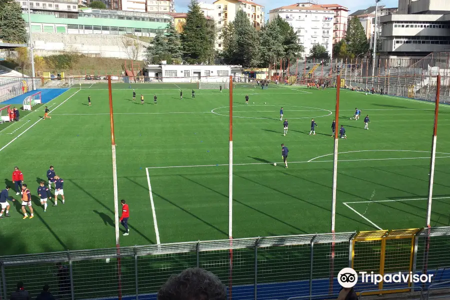 Stadio Alfredo Viviani