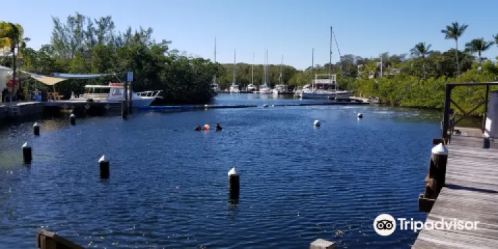 Jules Undersea Lodge Dive and Snorkeling