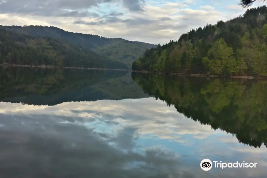 Berovo lake