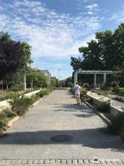 Parque Liana.