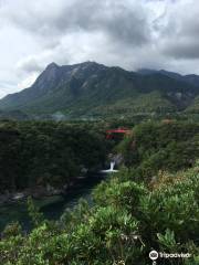 Yakushima Botanical Research Park