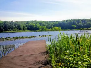 Pickerel Lake Park - Fred Meijer Nature Preserve
