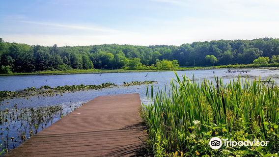 Pickerel Lake Park - Fred Meijer Nature Preserve