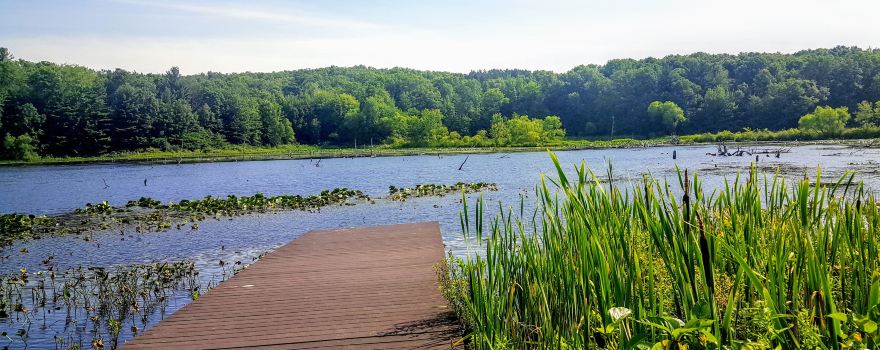 Pickerel Lake Park - Fred Meijer Nature Preserve