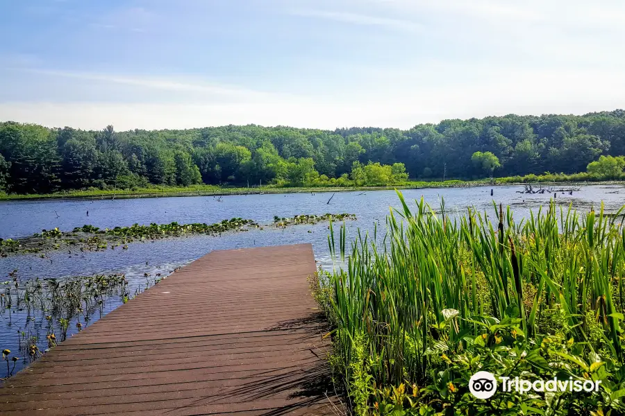 Pickerel Lake Park - Fred Meijer Nature Preserve