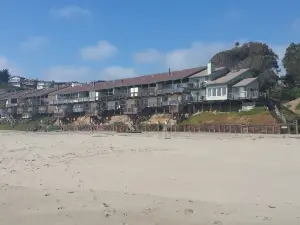 Manresa Main State Beach
