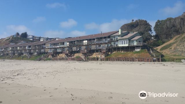 Manresa Main State Beach