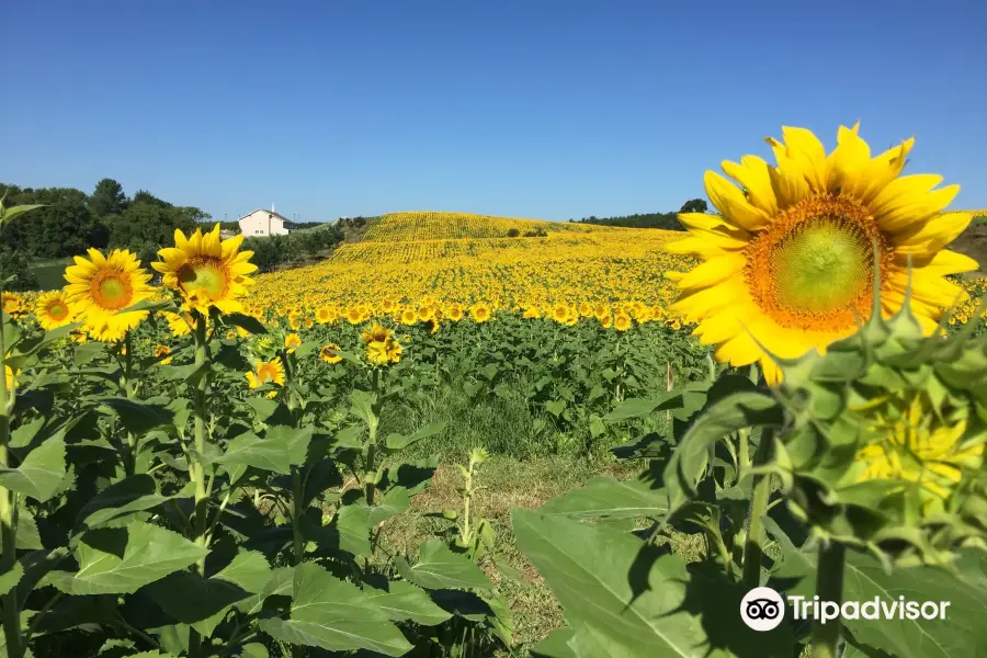 Pope Farm Conservancy