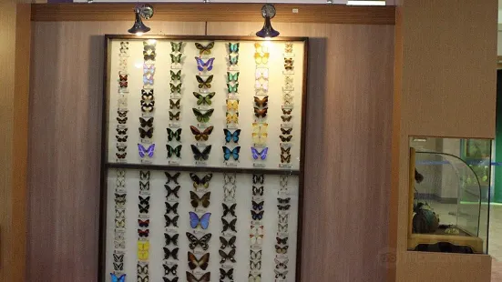 鹹平世博公園 - 蝴蝶昆蟲標本展館