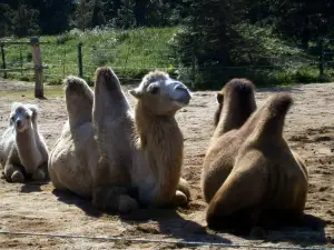 Zoo Park Vyškov