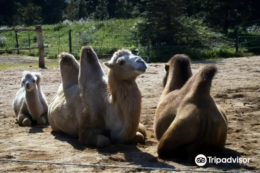 Zoo Park Vyskov