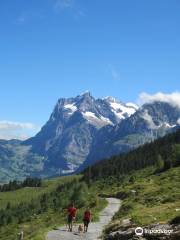 Maennlichen Romantic Trail