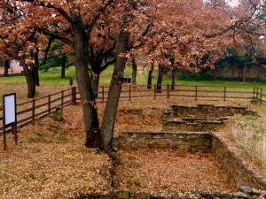 Parco archeologico Muggia vecchia