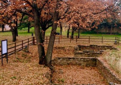 Parco archeologico Muggia vecchia