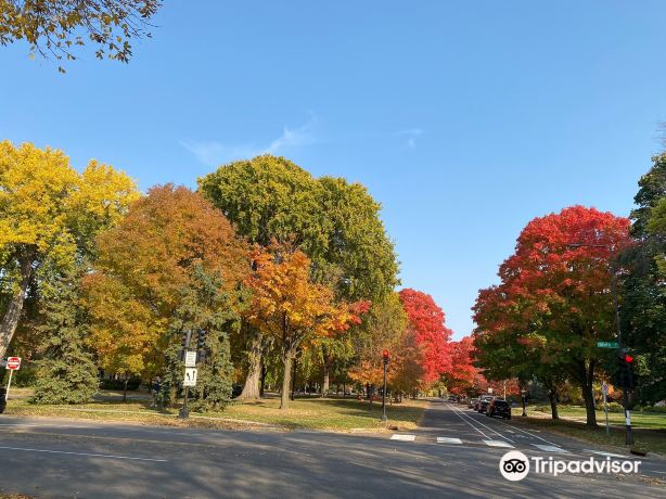 Summit Avenue