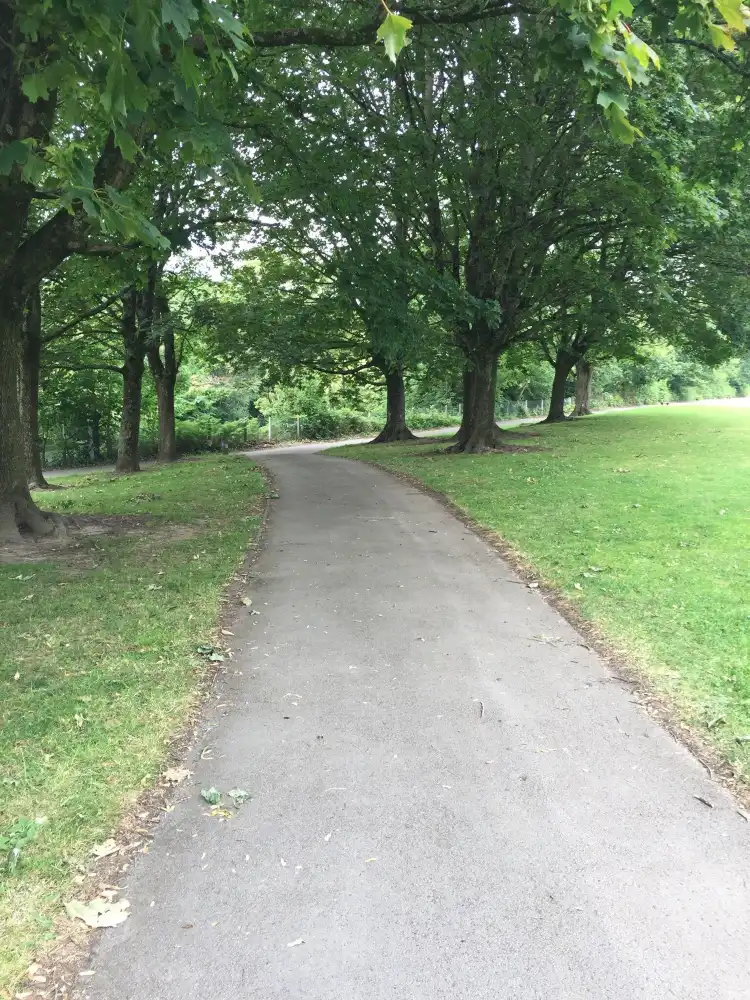 Hotels in Llandaff North