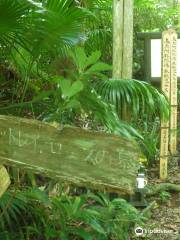 Mottley Couple and Rohlfs Tomb