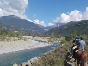 Caballos casa blas
