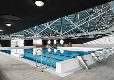 Centro Nuoto Montevarchi