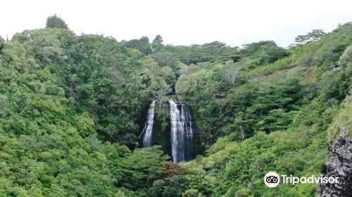 Ho'opi'i Falls