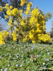 Les Jardins du MIP