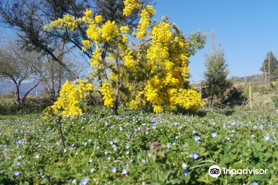 Les Jardins du MIP