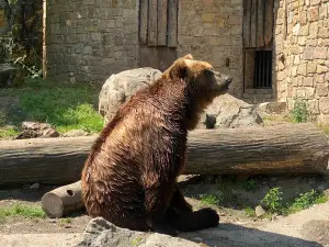 Zoo Děčín / Tetschen