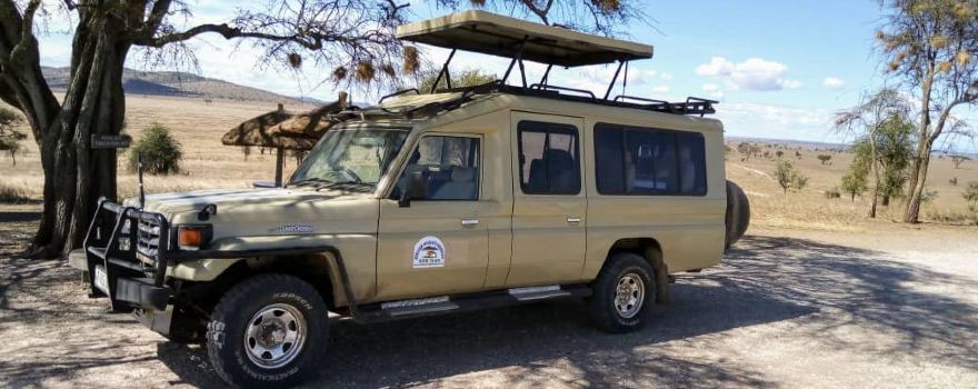 African Wildlife Borders
