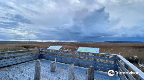 Seine Estuary Nature Reserve