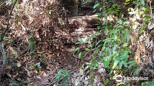 Jungle Trekking Taman Tumbina Bintulu