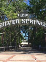 Silver Springs State Park